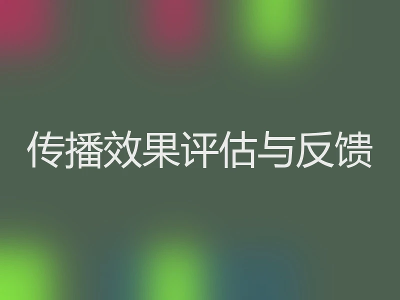 传播效果评估与反馈