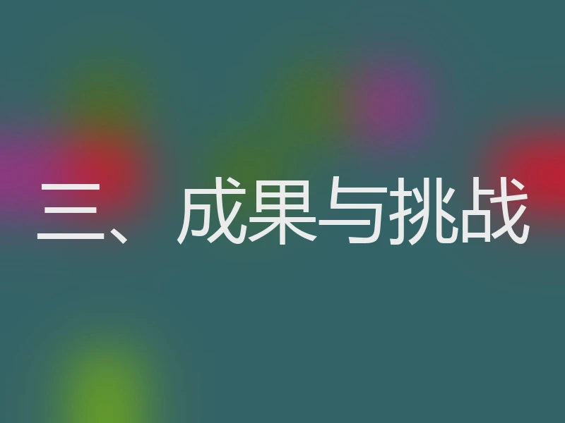 三、成果与挑战