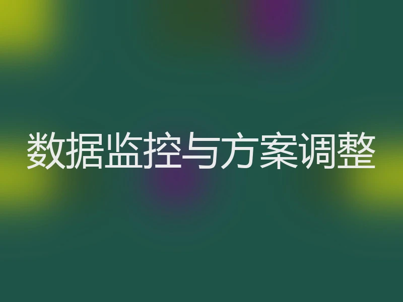 数据监控与方案调整