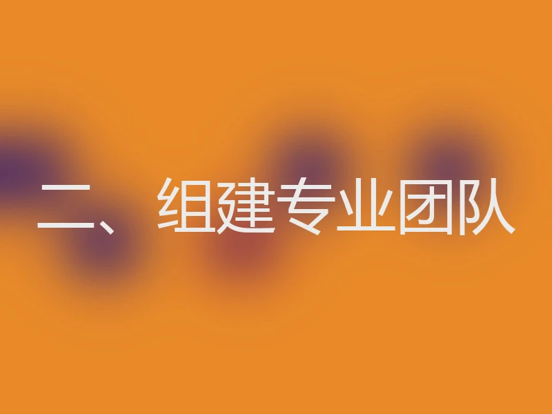 二、组建专业团队