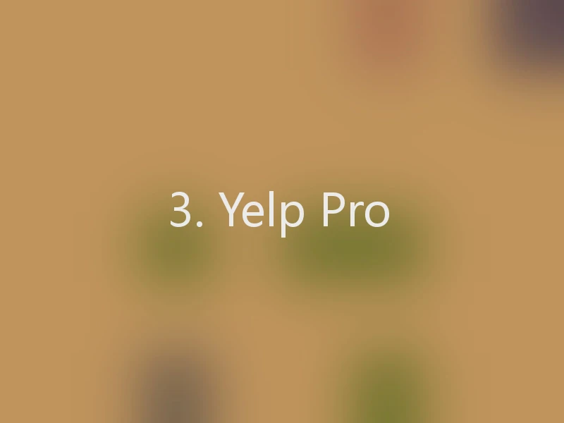 3. Yelp Pro