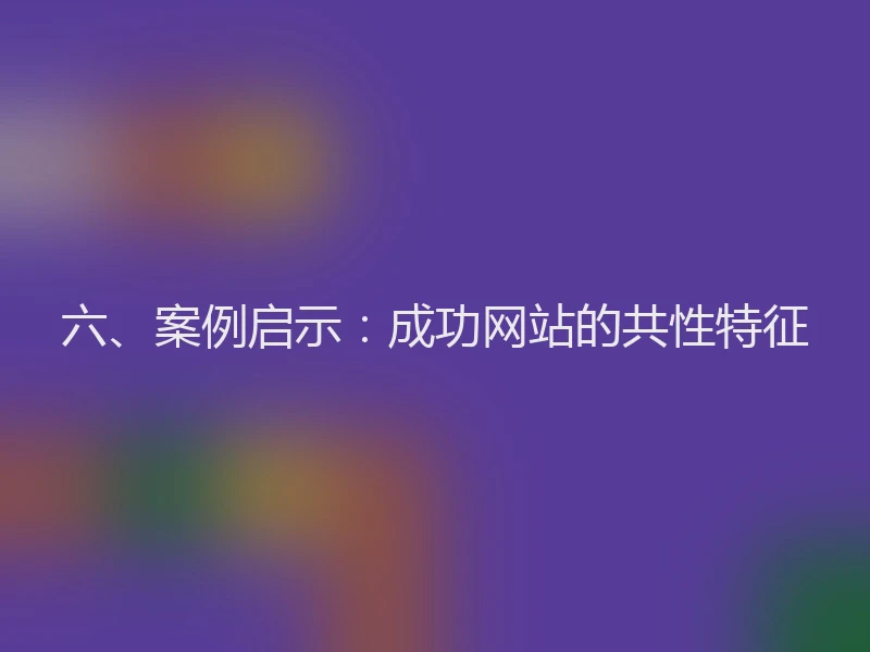 六、案例启示：成功网站的共性特征