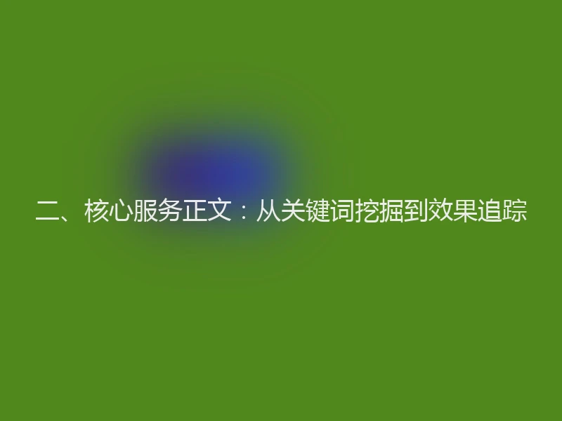 二、核心服务正文：从关键词挖掘到效果追踪