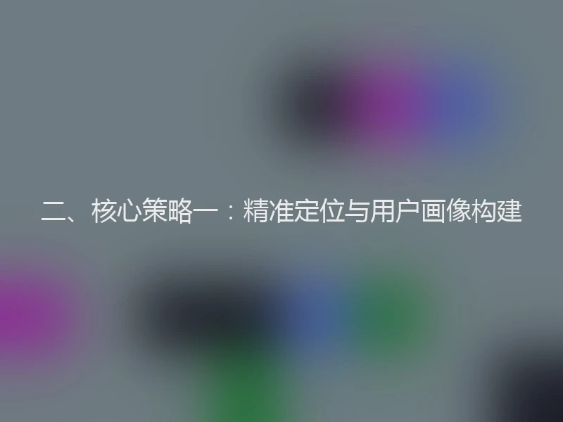 二、核心策略一：精准定位与用户画像构建
