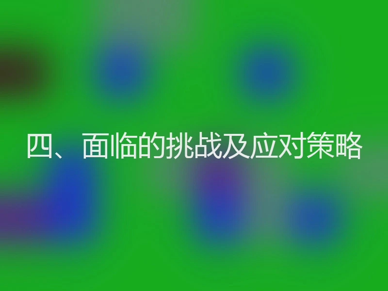 四、面临的挑战及应对策略