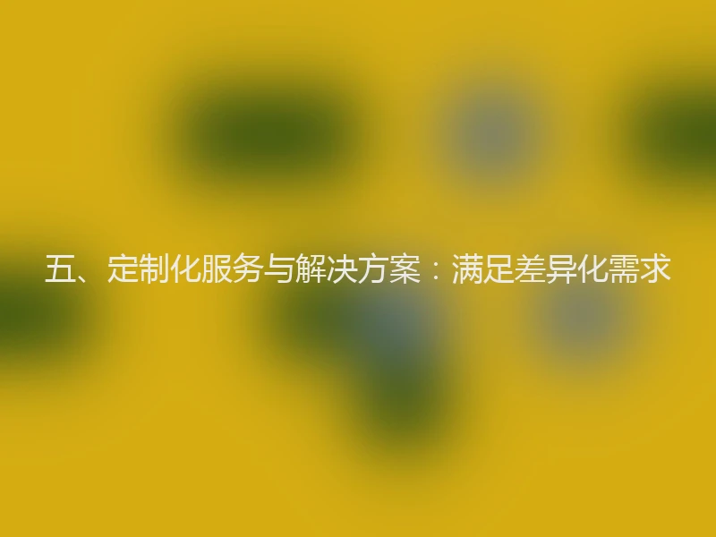 五、定制化服务与解决方案：满足差异化需求