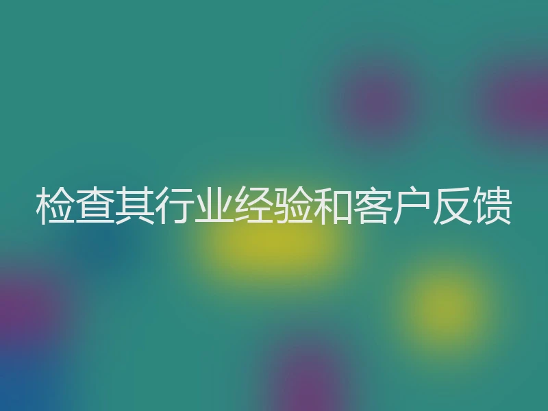 检查其行业经验和客户反馈