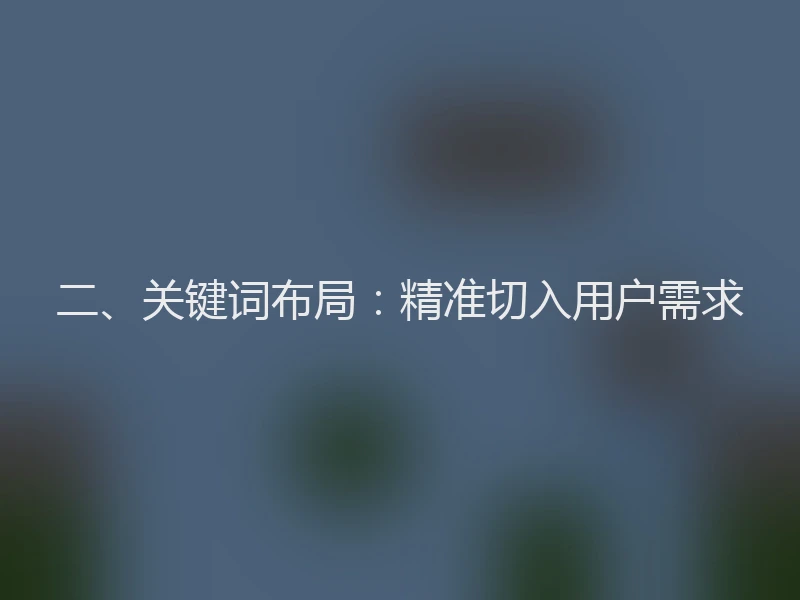 二、关键词布局：精准切入用户需求