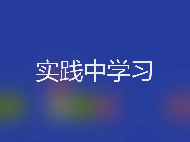 实践中学习