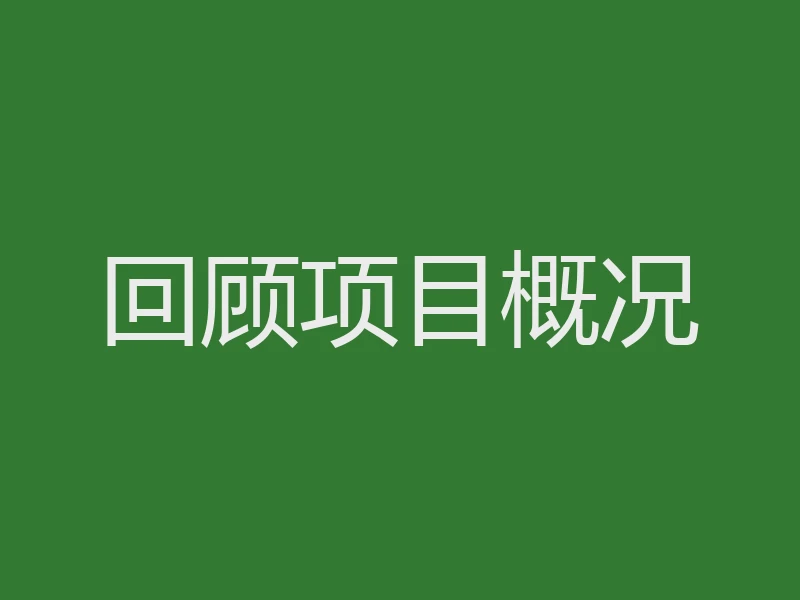 回顾项目概况