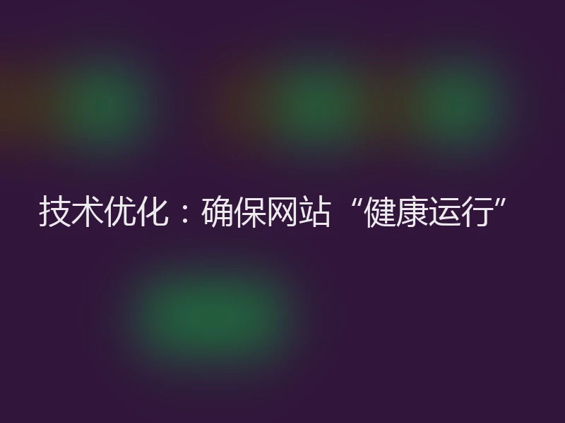 技术优化：确保网站“健康运行”