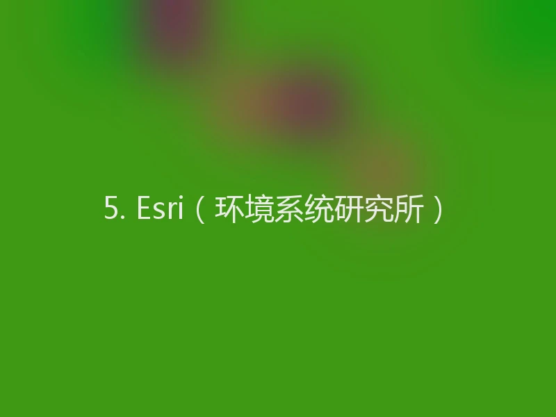 5. Esri（环境系统研究所）