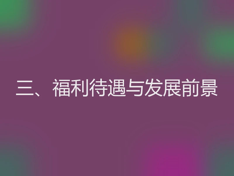 三、福利待遇与发展前景