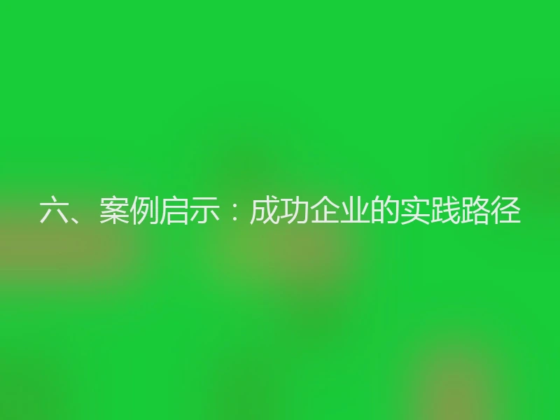 六、案例启示：成功企业的实践路径