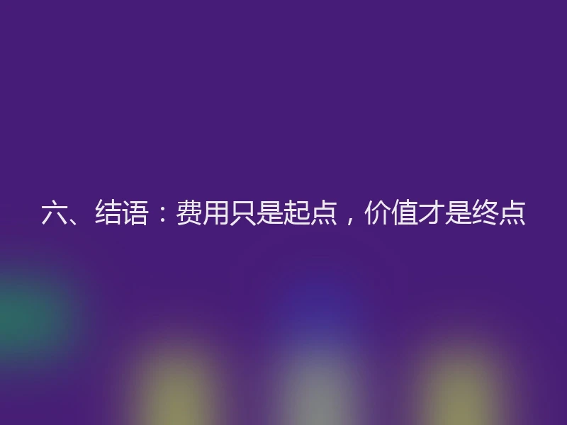 六、结语：费用只是起点，价值才是终点