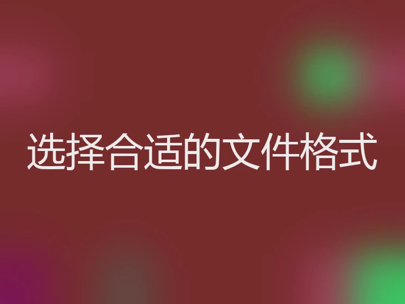 选择合适的文件格式