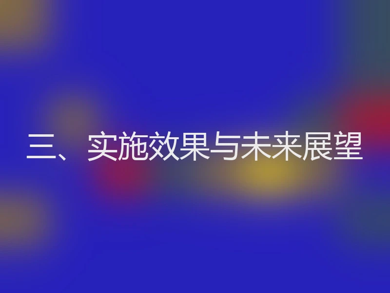 三、实施效果与未来展望