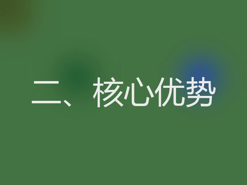 二、核心优势