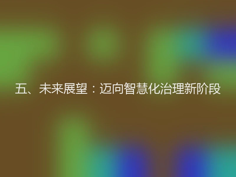 五、未来展望：迈向智慧化治理新阶段