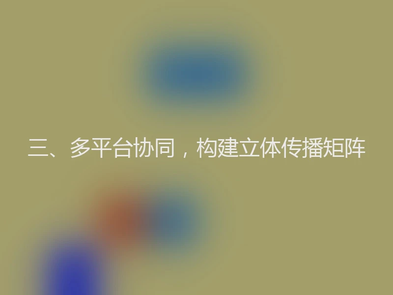 三、多平台协同，构建立体传播矩阵