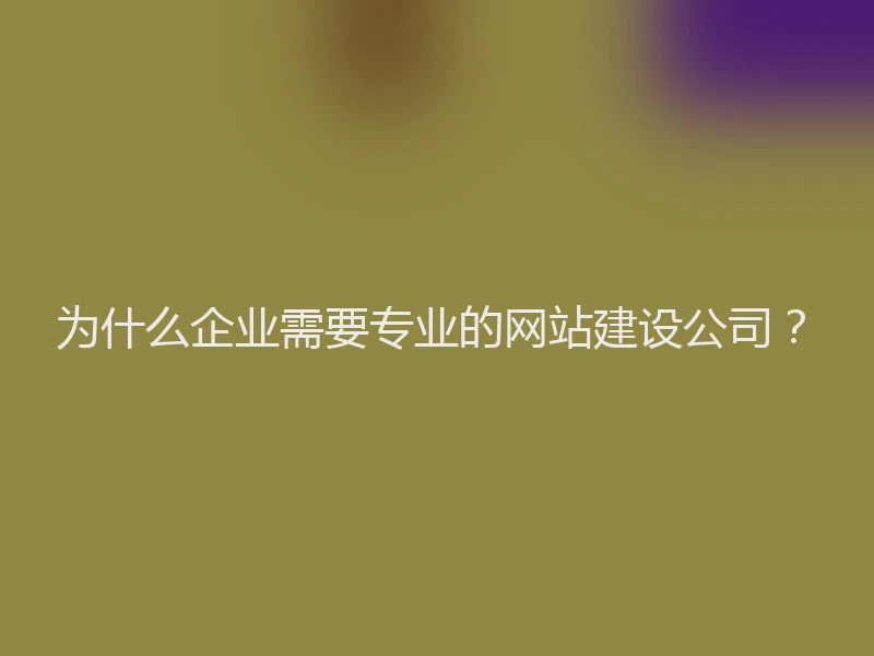 为什么企业需要专业的网站建设公司?