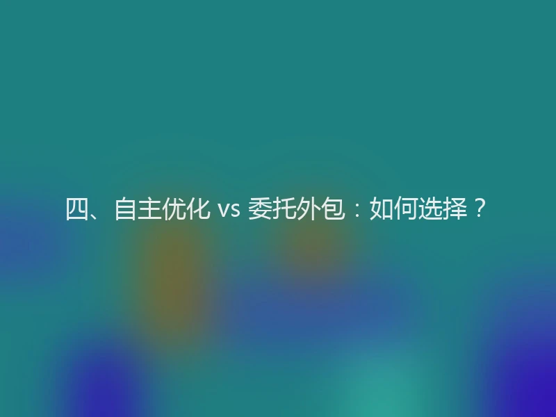 四、自主优化 vs 委托外包：如何选择？