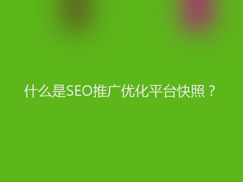 什么是SEO推广优化平台快照？