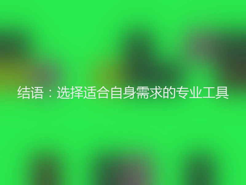 结语：选择适合自身需求的专业工具