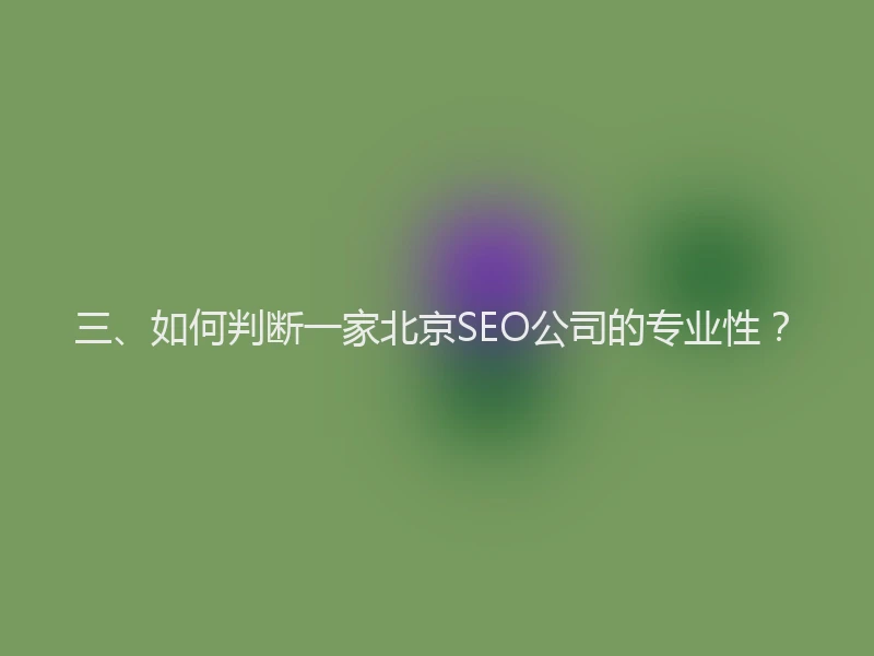 三、如何判断一家北京SEO公司的专业性？