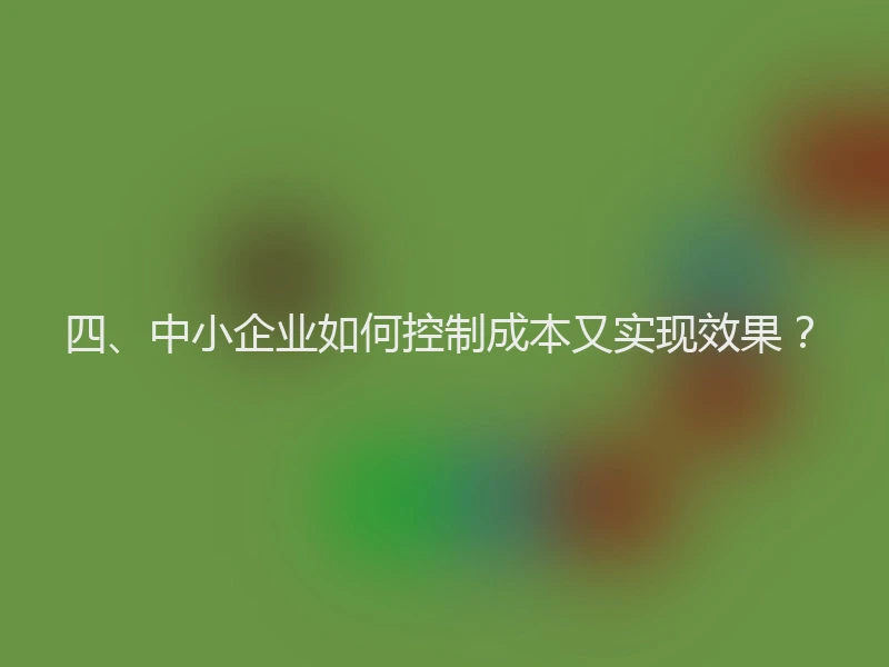 四、中小企业如何控制成本又实现效果？