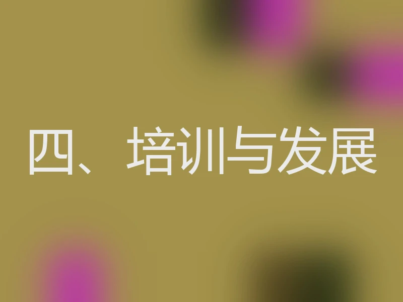 四、培训与发展