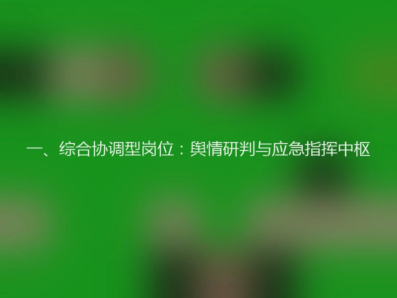 一、综合协调型岗位：舆情研判与应急指挥中枢