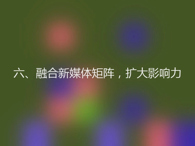 六、融合新媒体矩阵，扩大影响力