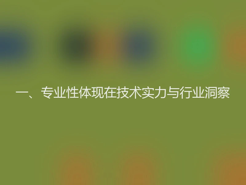 一、专业性体现在技术实力与行业洞察