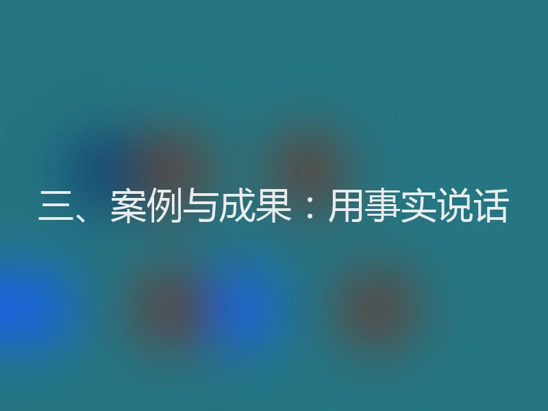 三、案例与成果：用事实说话