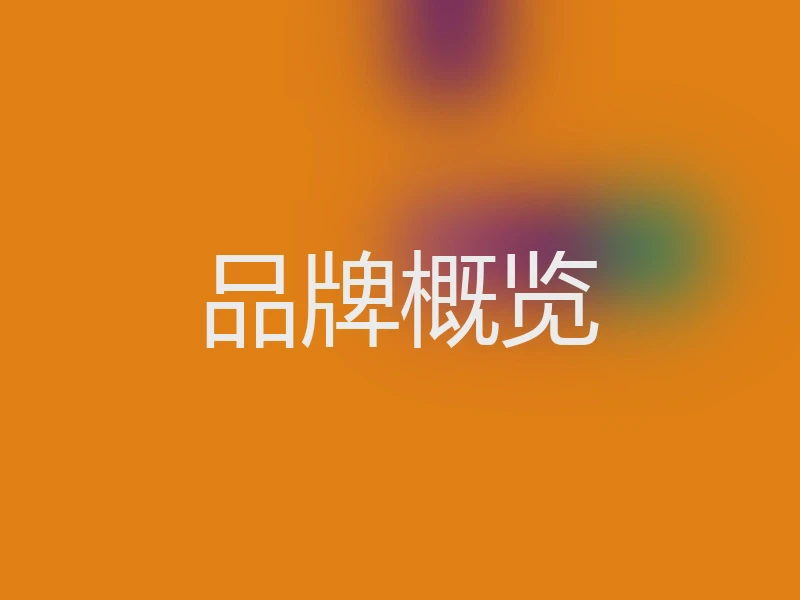 品牌概览