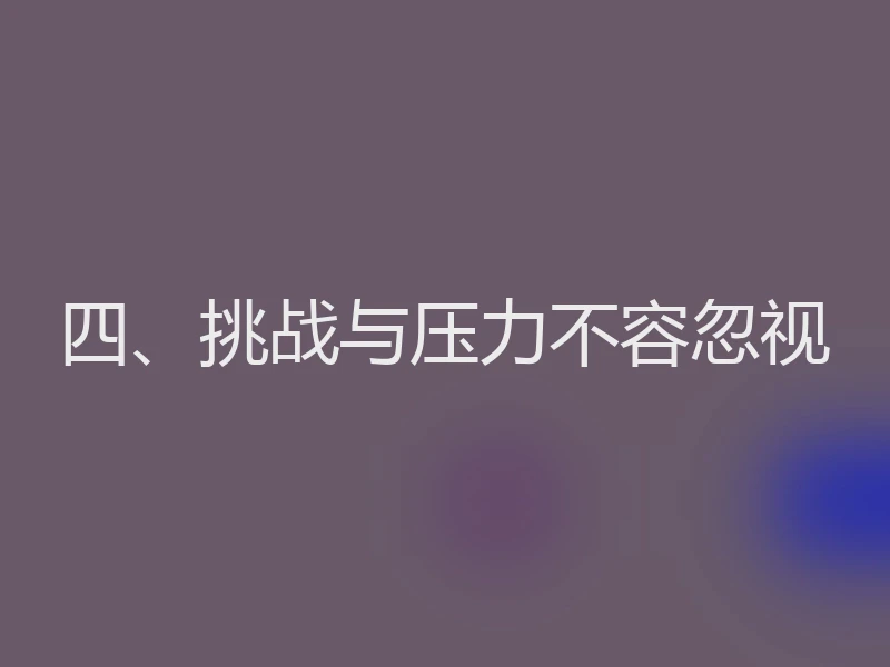 四、挑战与压力不容忽视