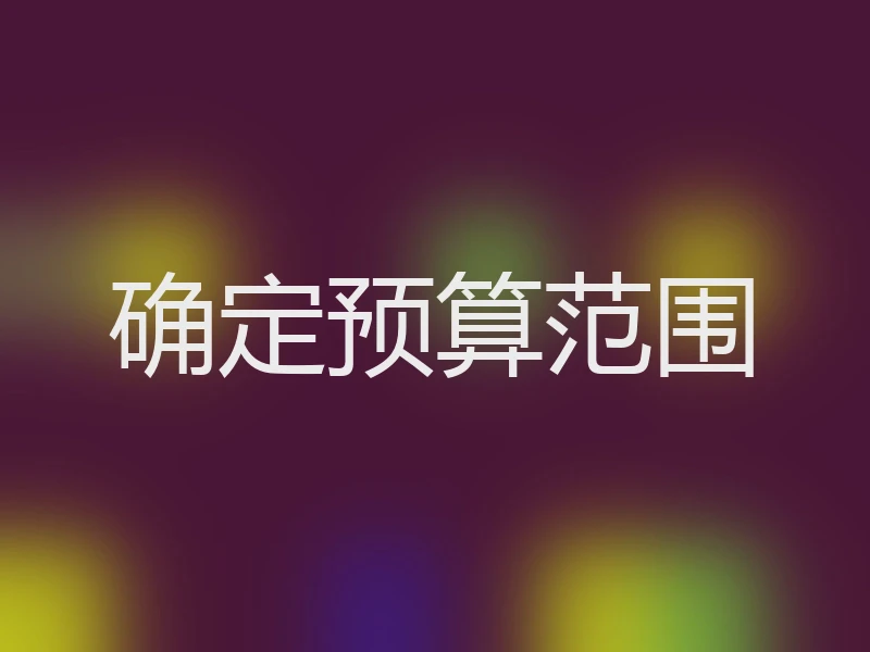 确定预算范围