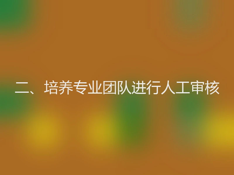 二、培养专业团队进行人工审核