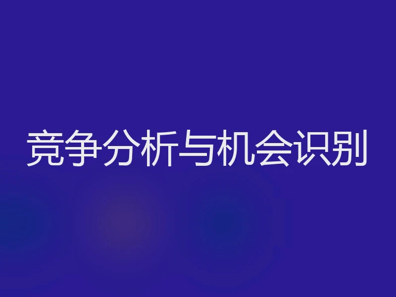 竞争分析与机会识别