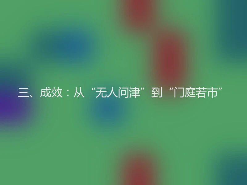 三、成效：从“无人问津”到“门庭若市”