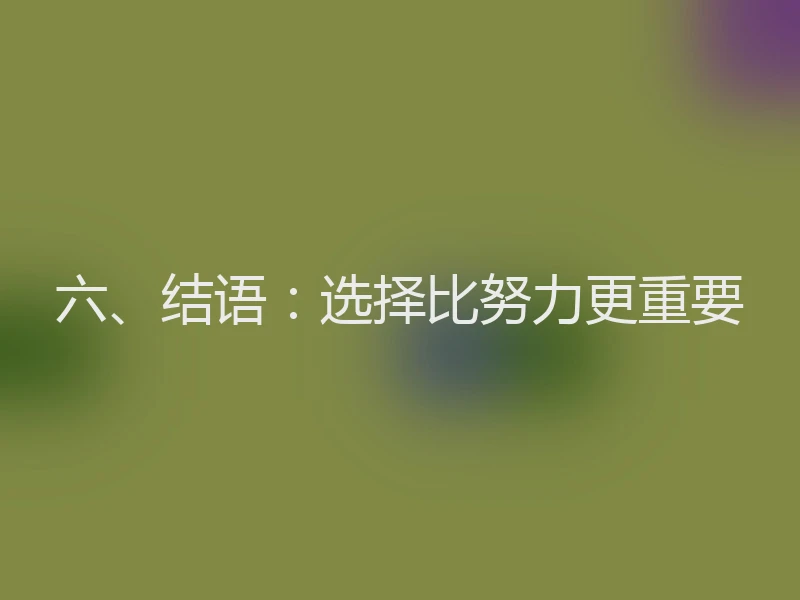 六、结语：选择比努力更重要