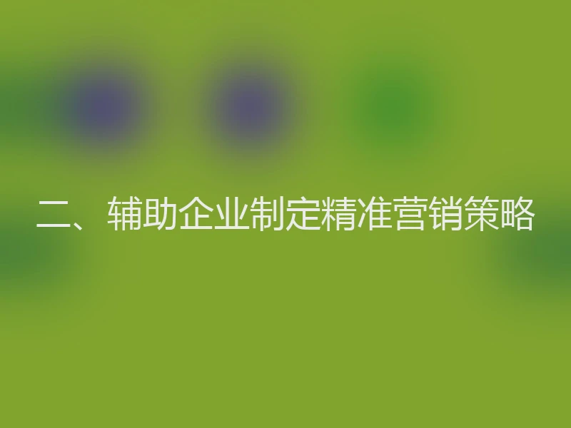 二、辅助企业制定精准营销策略