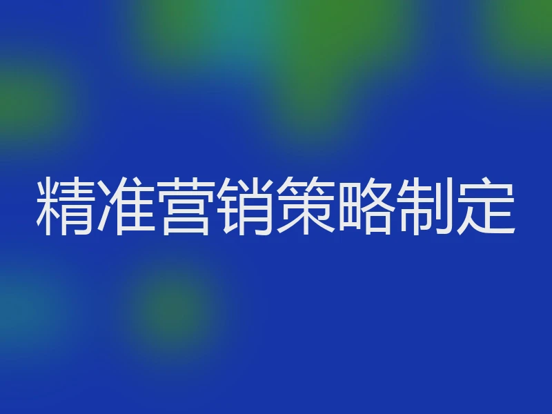 精准营销策略制定