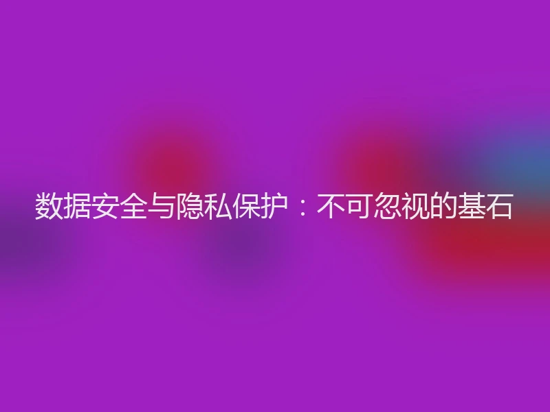 数据安全与隐私保护：不可忽视的基石