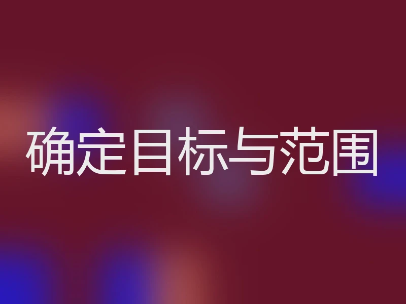 确定目标与范围
