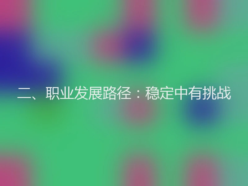 二、职业发展路径：稳定中有挑战
