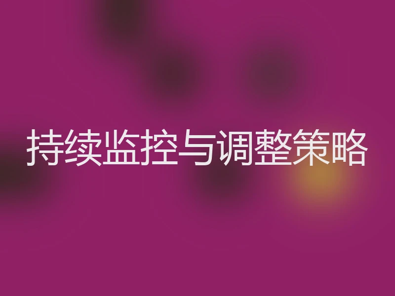 持续监控与调整策略