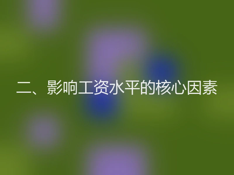 二、影响工资水平的核心因素