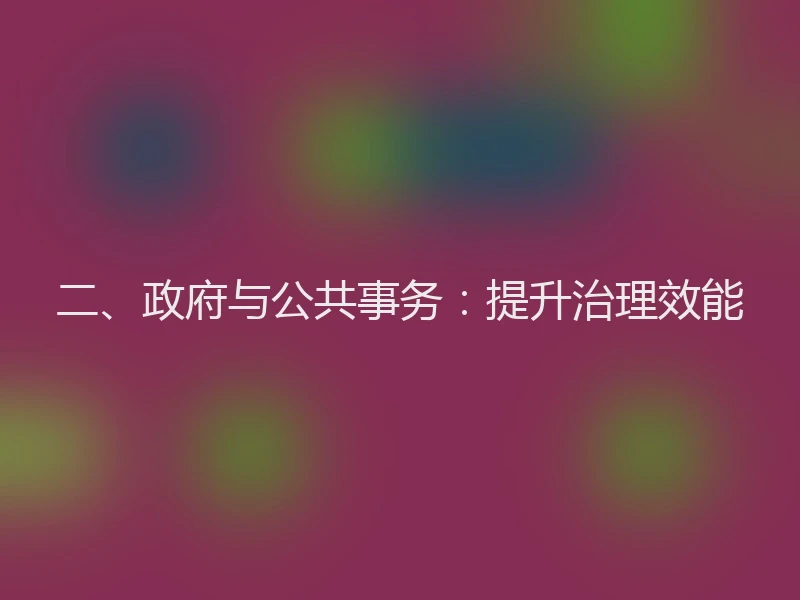 二、政府与公共事务：提升治理效能